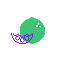 Baby size by end of the first trimester: Lime