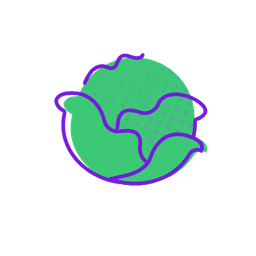 Baby size by end of the second trimester: Cabbage
